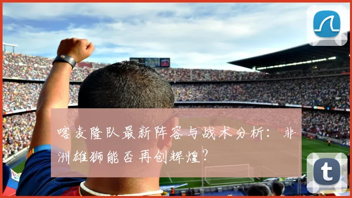喀麦隆队最新阵容与战术分析:非洲雄狮能否再创辉煌?