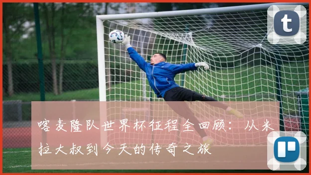 喀麦隆队世界杯征程全回顾：从米拉大叔到今天的传奇之旅