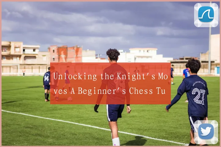 Unlocking the Knight's Moves A Beginner's Chess Tu